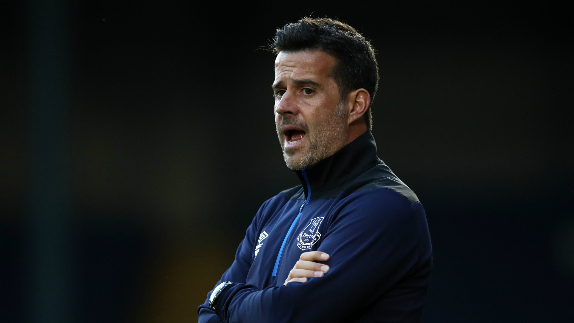 稳定投射手 稳定投射手