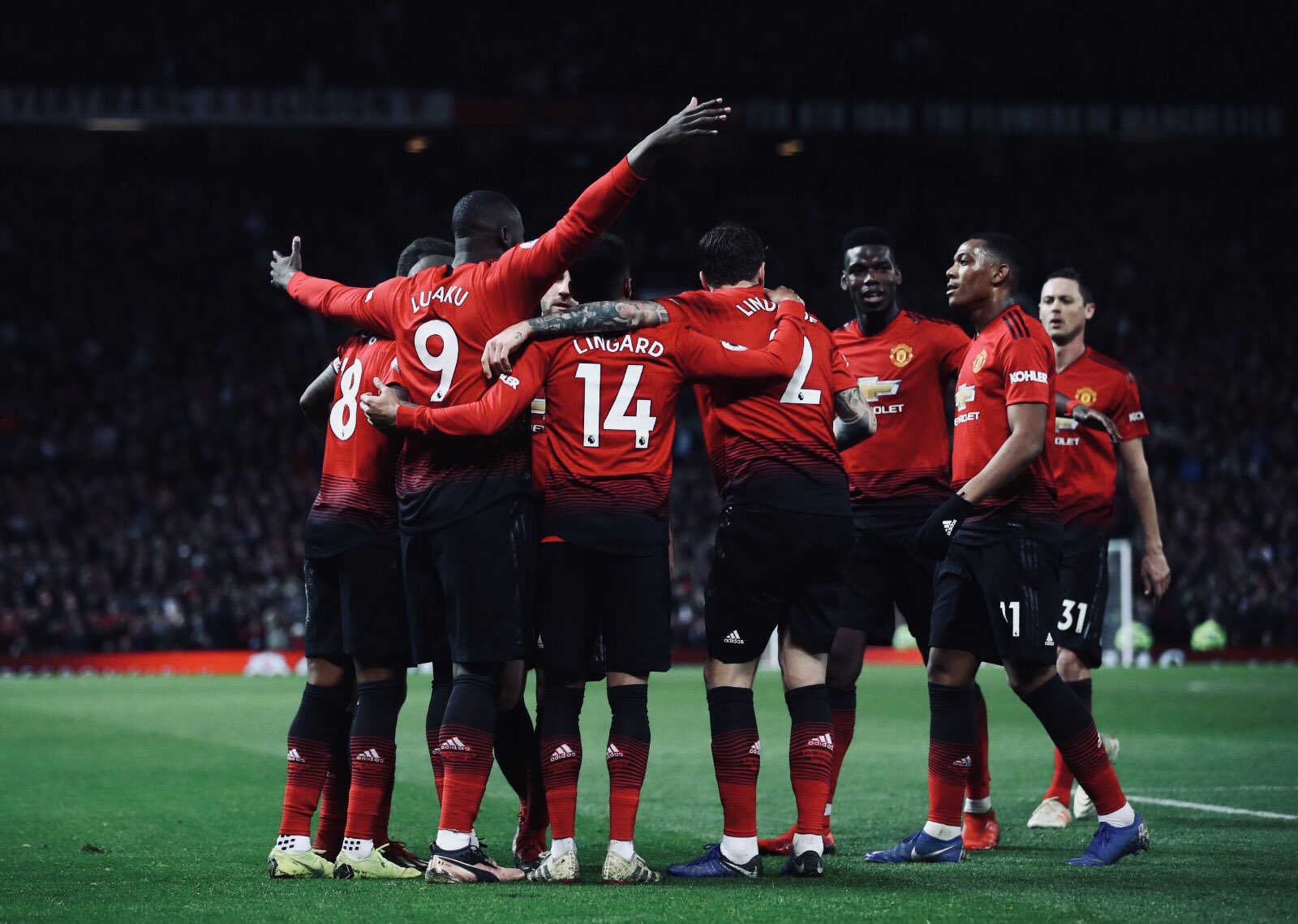 游泳天才 游泳天才